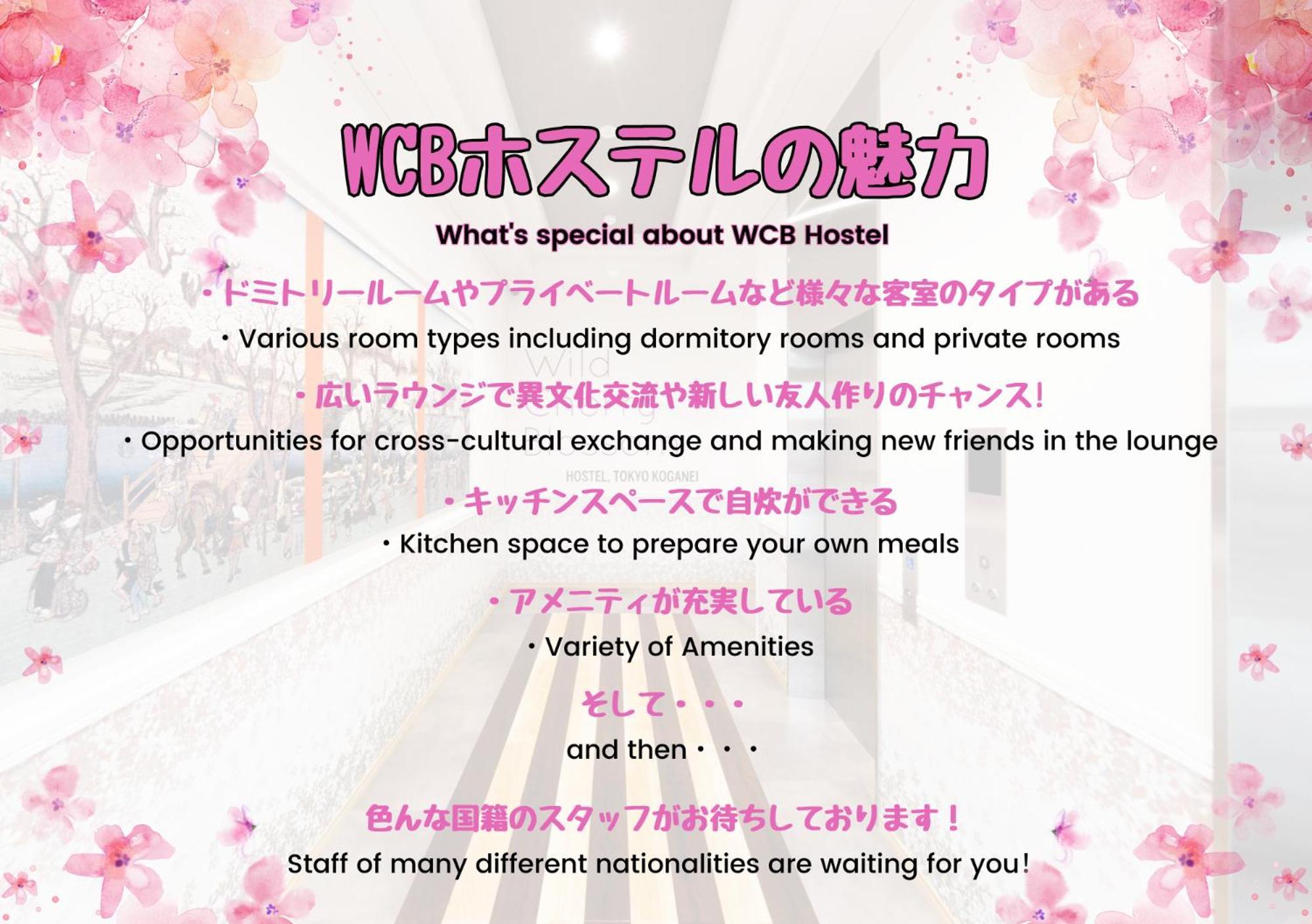 Wild Cherry Blossom-Hostel,Tokyo Koganei- Exteriér fotografie